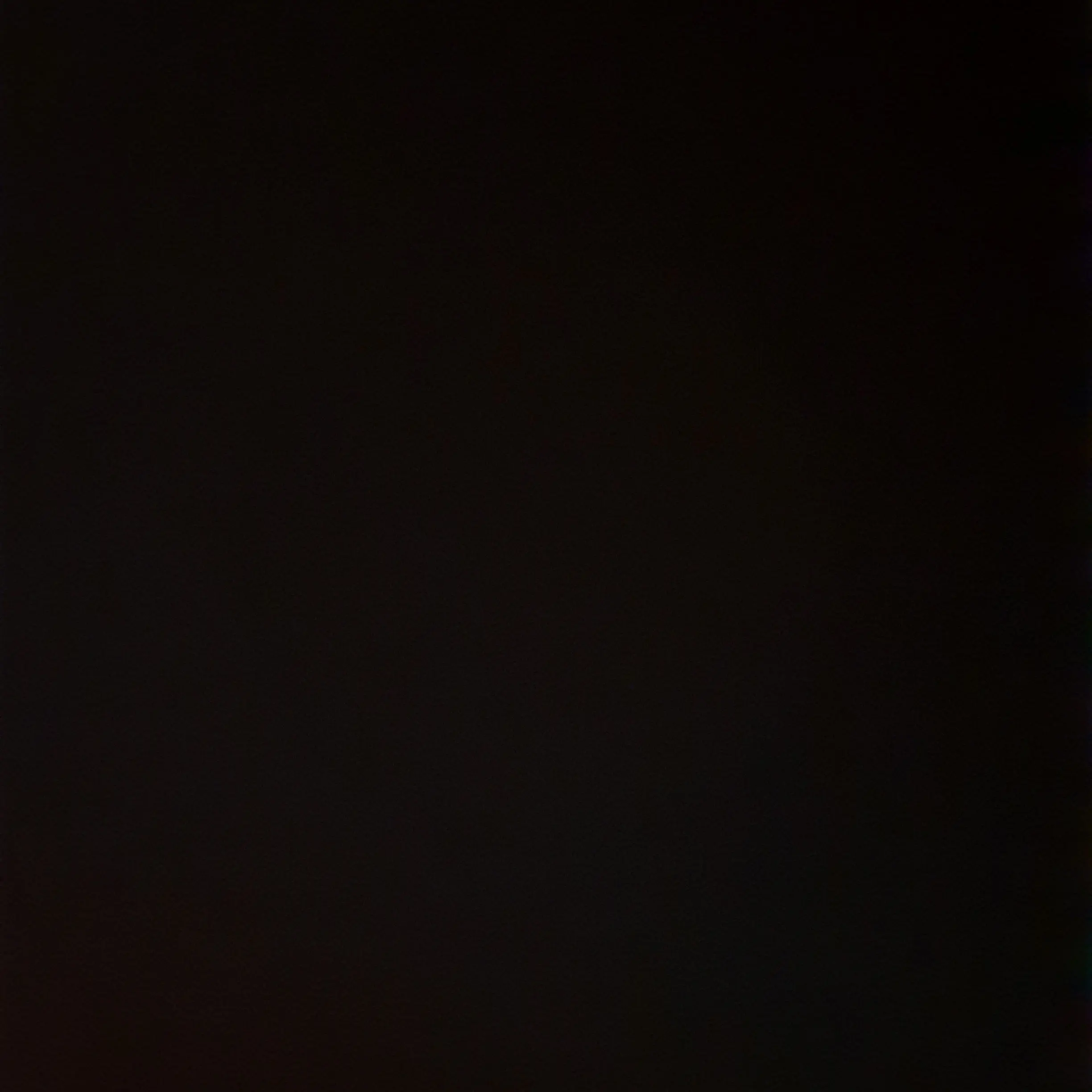 walkingspeed의 김왼팔