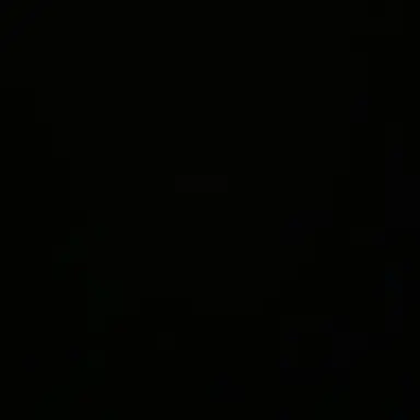 Profile image of 선생님