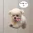 태오