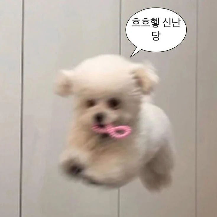 태오