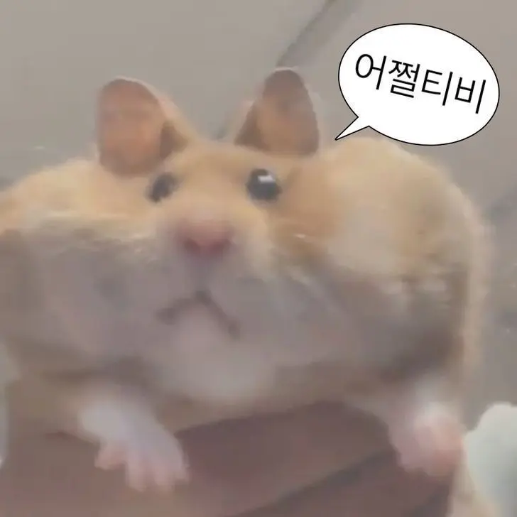 jwvduz의 ヾ(๑╹◡╹)ﾉ"