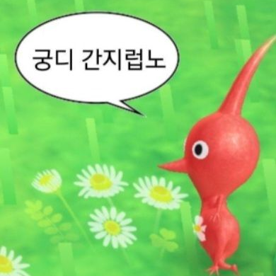 고고프렌즈 크리스마스 대표 이미지