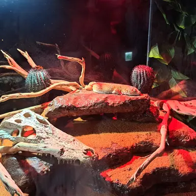 Profile image of 강서진