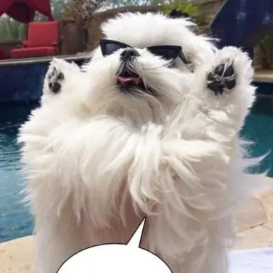 Profile image of 워터