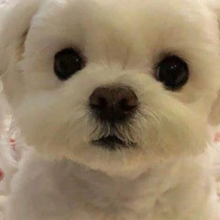 피크