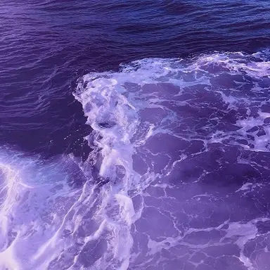 Profile image of 황수현