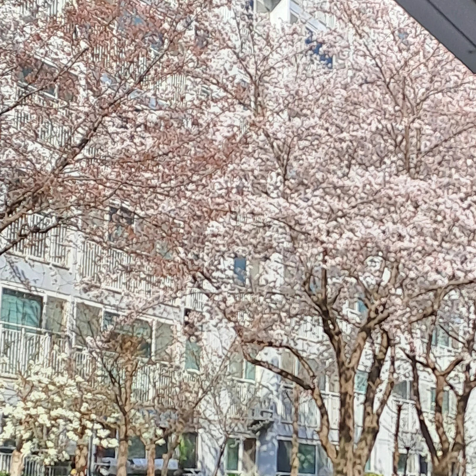 도망자들