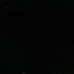 Profile image of 신정환