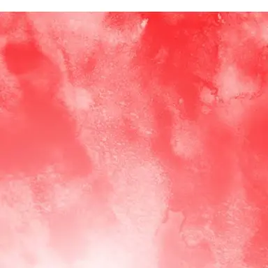 Profile image of 아마구리