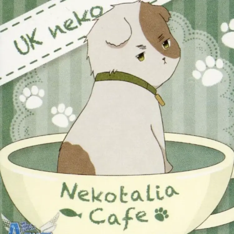 kero222의 いぎにゃんをモフろう