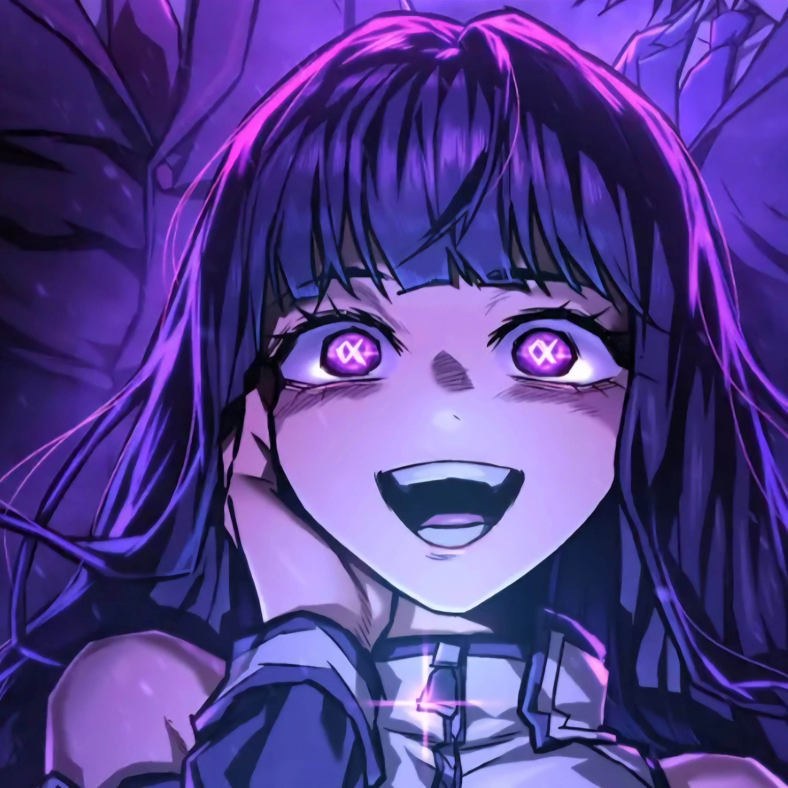 신카