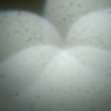 Profile image of 선생님 학새들