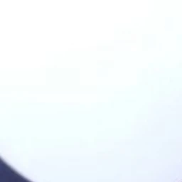 족제비 현진