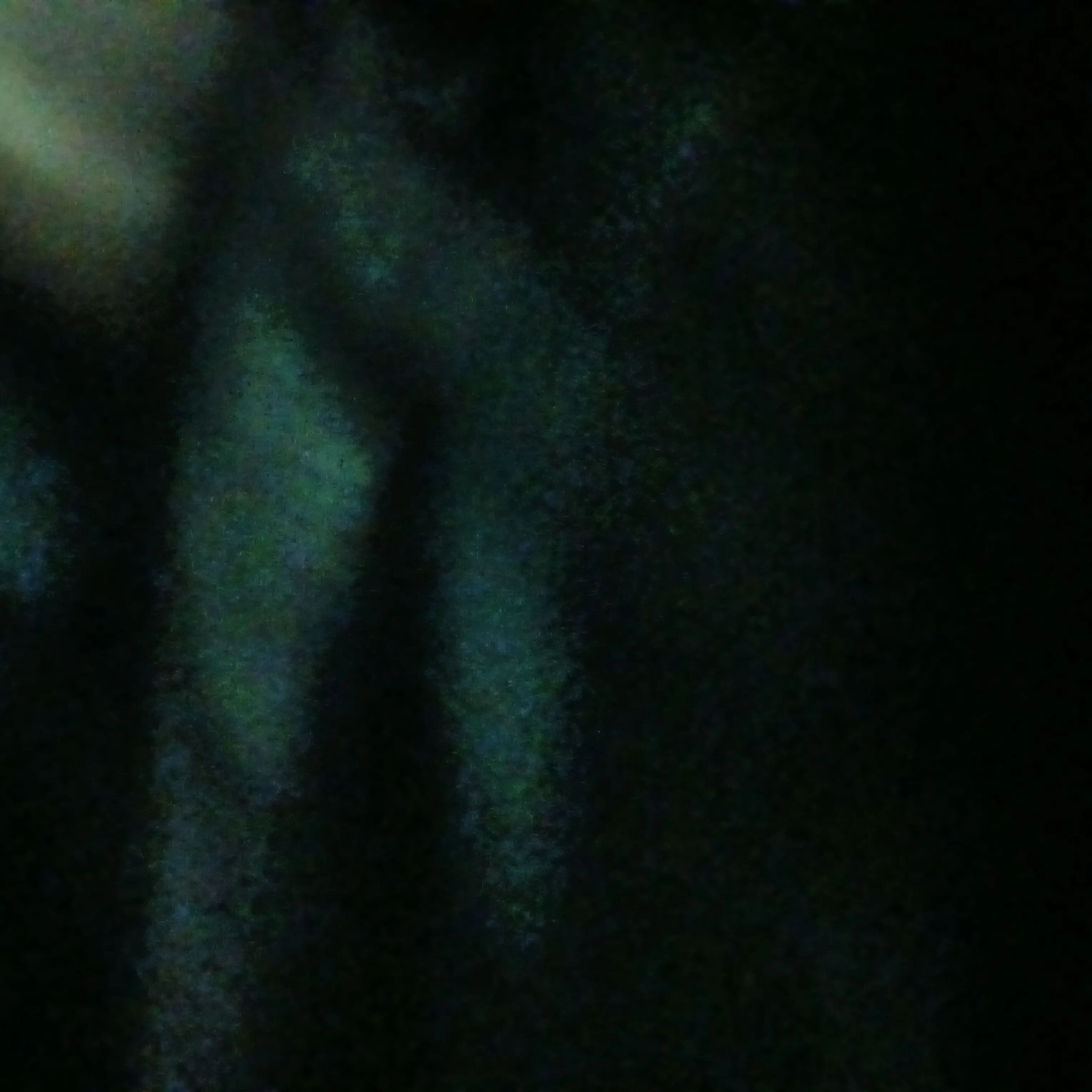 Adgkl의 ㅂㄴㄷ 7남매