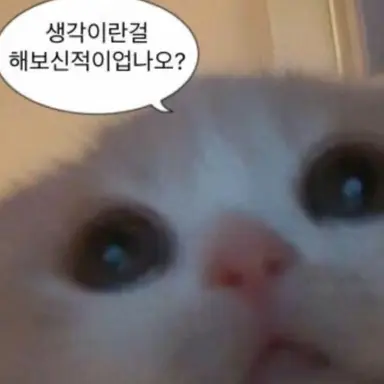 Profile image of 여우