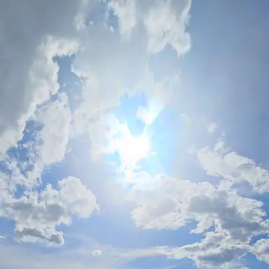 Profile image of 해민