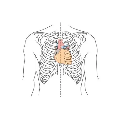 Profile image of 화이트
