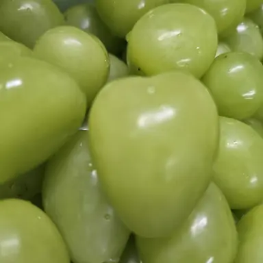 Profile image of 서준