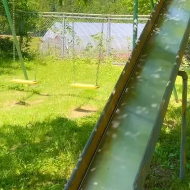 Profile image of こむぎ