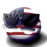Profile image of 미국