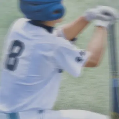 Profile image of 向井陽翔