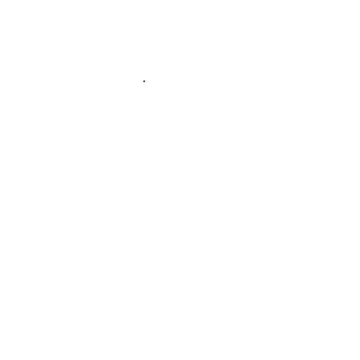 갈색이