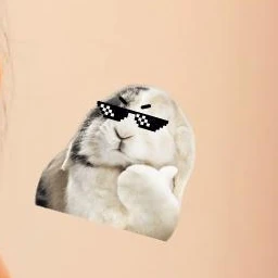 아라