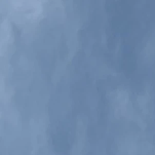 김운학