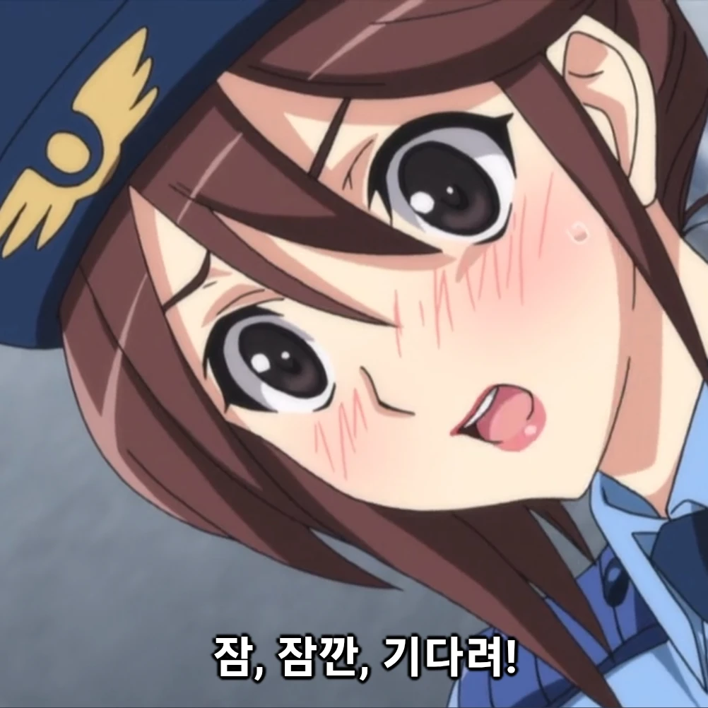 세이타 모모