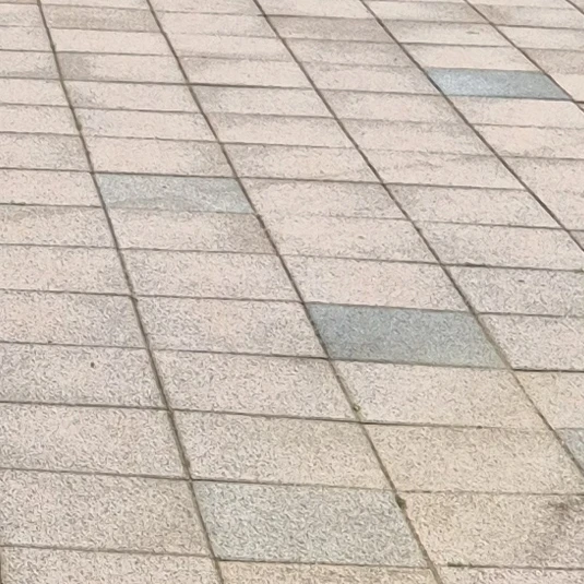 박성호