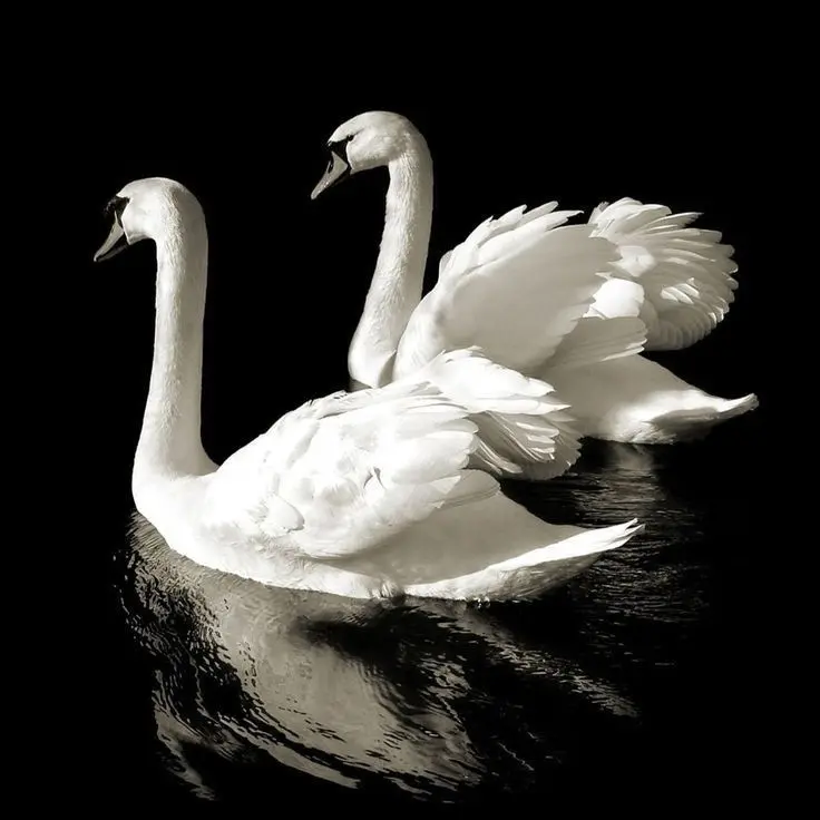 cxke.re3의 권성민