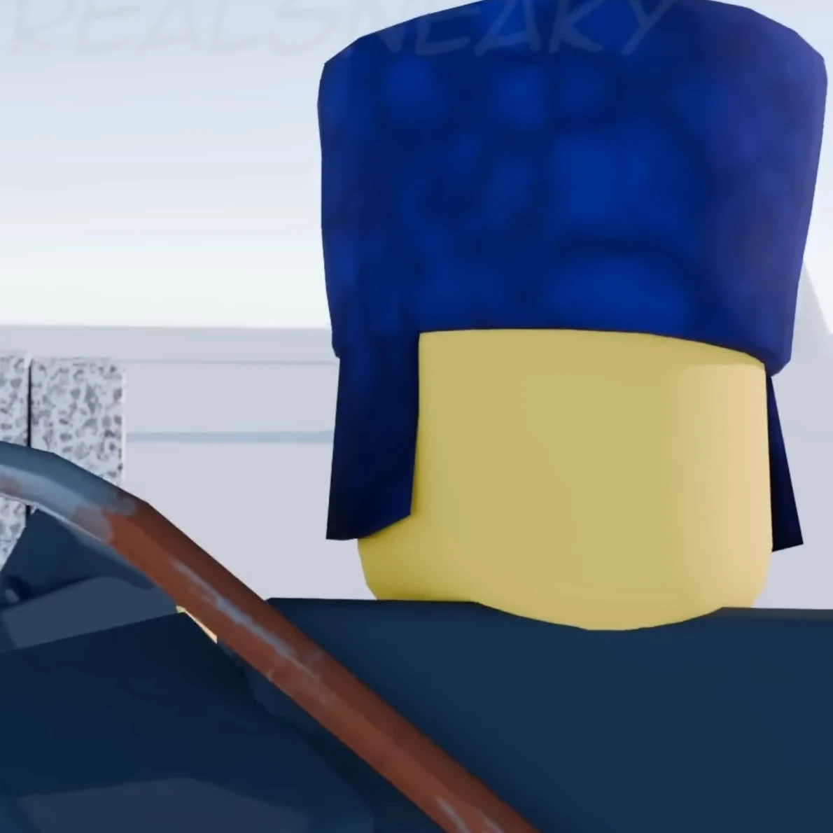 파란우샨카