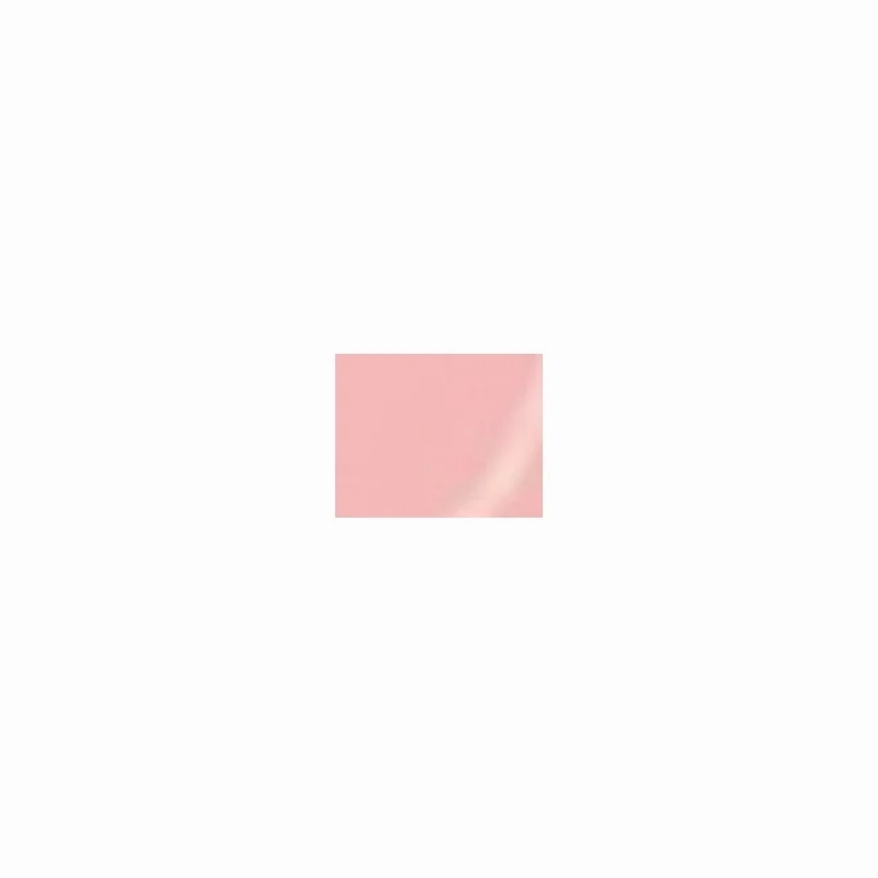 파블로바맛 쿠키
