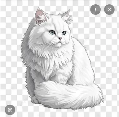 Profile image of キーフリー