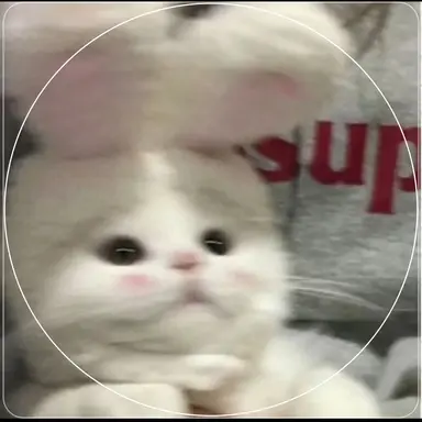 Profile image of 픽셀리