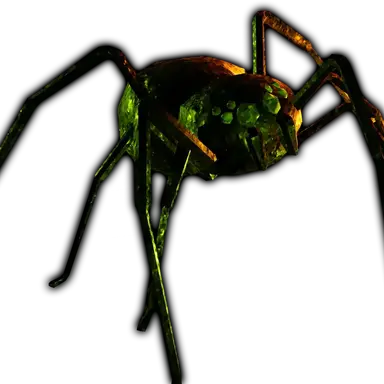 Profile image of 티모시