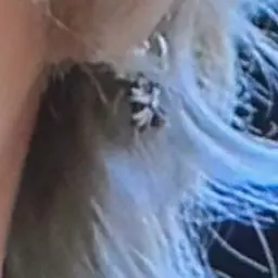 wonbinnnnnn의 박원빈