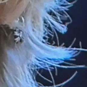 memobin의 박원빈