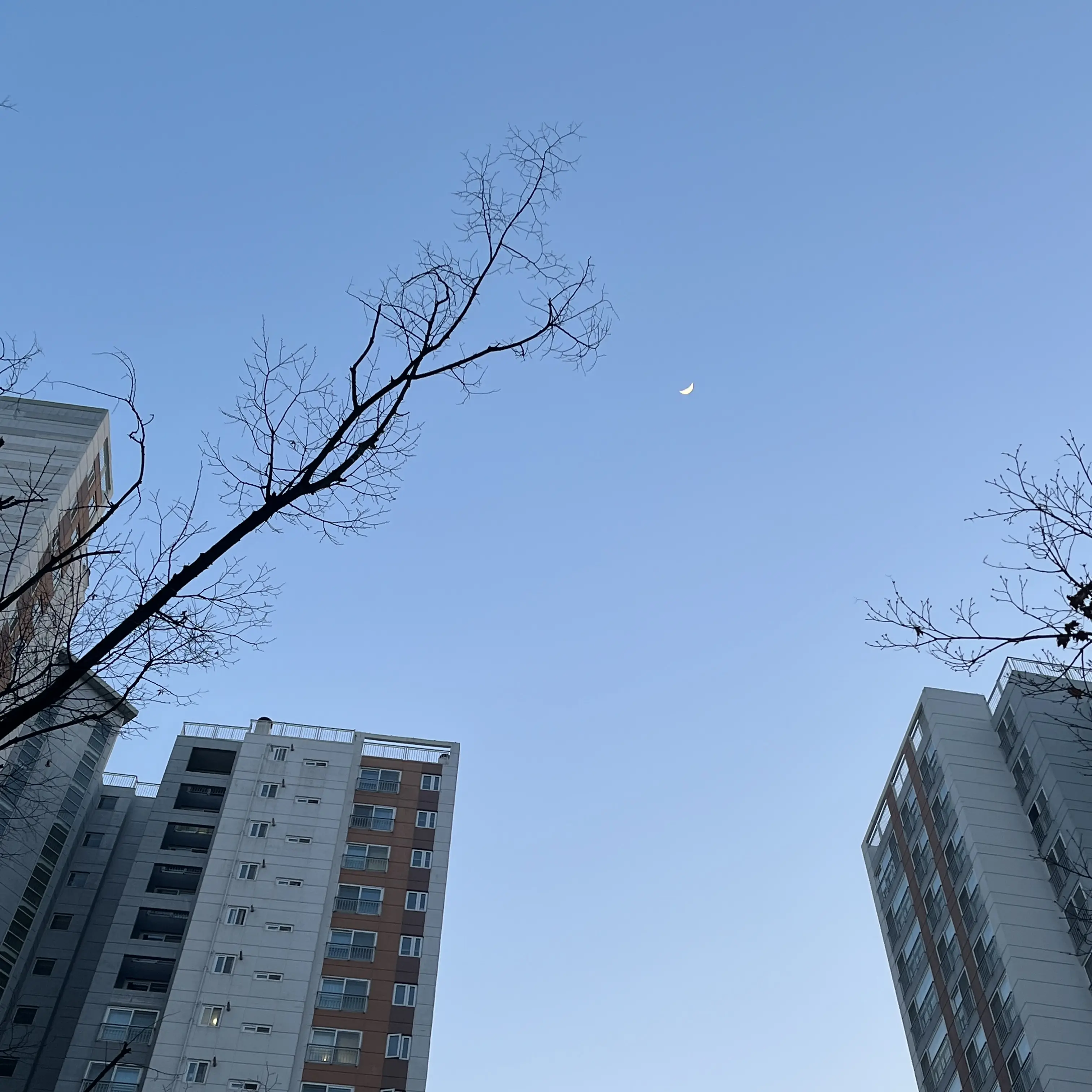 BrightFlare8117의 설윤아
