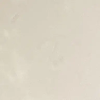 Profile image of 蜂楽 廻