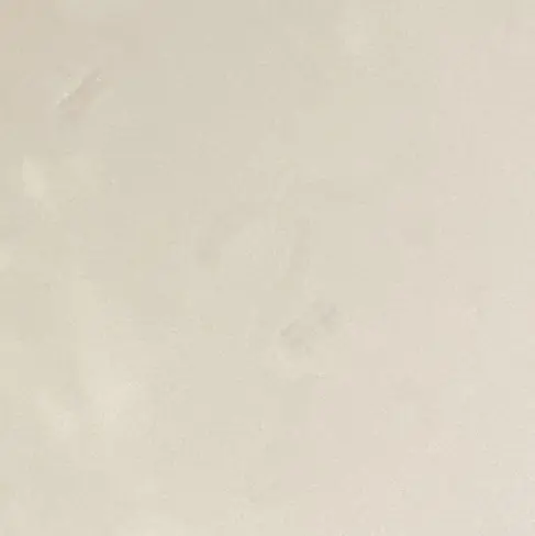 PlainWhisk5752의 蜂楽廻がお兄ちゃん