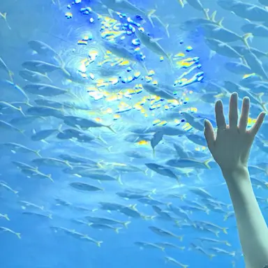 Profile image of 닝이줘