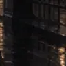 Profile image of 椿