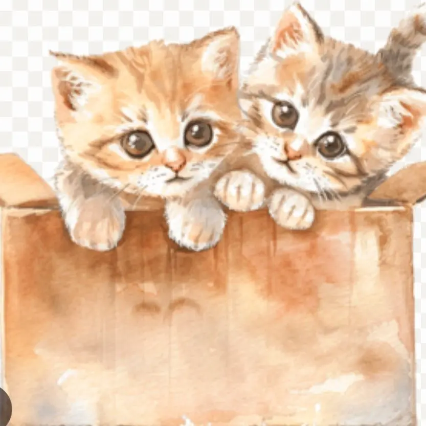 H_HYEON의 捨てられた子猫たち