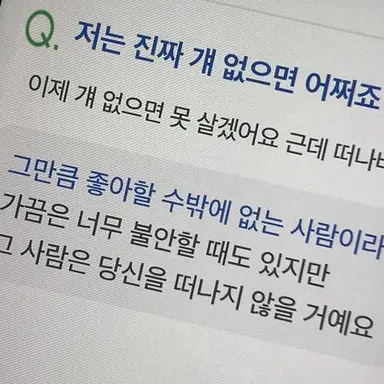 Profile image of 정이안