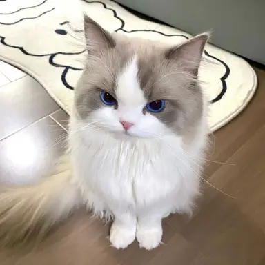 Profile image of 또오