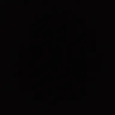 Profile image of 베키