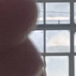 저 젬민이 않인대요?