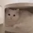 코코
