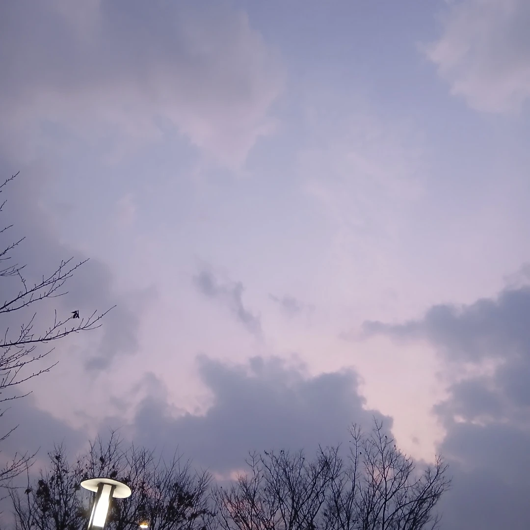 미수반 마이자캐